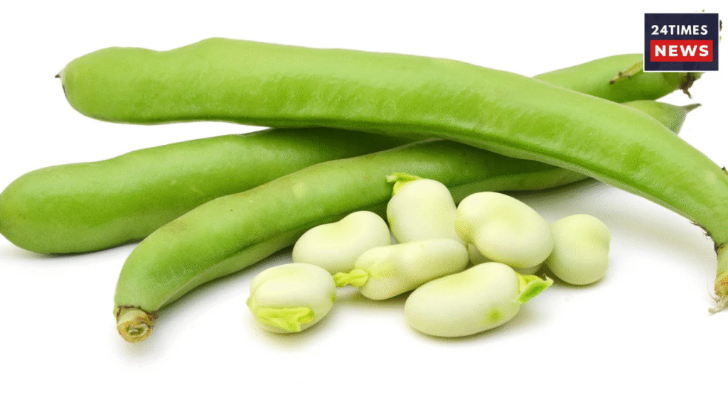 Untitled design 2025 12 23T141918.140 Untitled design 2025 12 23T141918.140