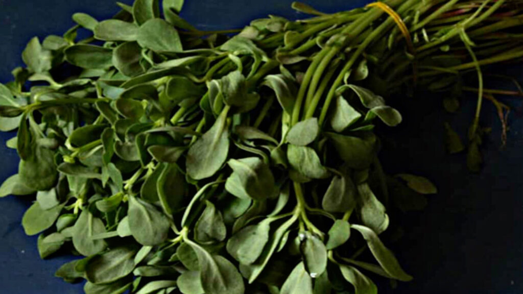 0AEE4484 DA8A 4729 B7B3 AE26727A2F2C 0AEE4484 DA8A 4729 B7B3 AE26727A2F2C