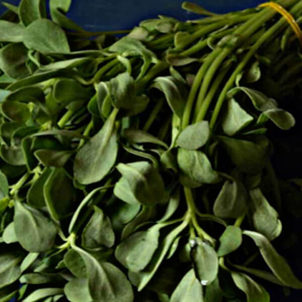 Eating bathua (lamb’s quarters) in winter offers all these health benefits, find out quickly!