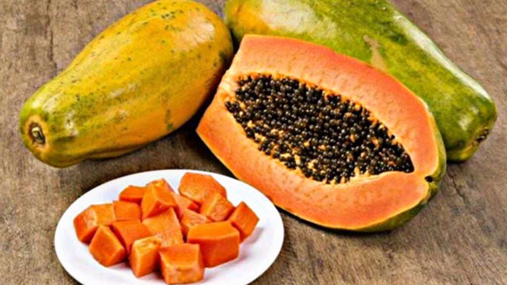 1490653D AD1C 421C BF49 DAA61FE15DE8 1