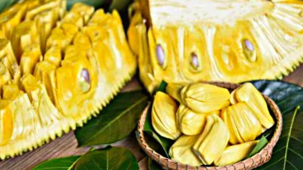 1A5BA584 6958 43FD BC16 1018B0E3CE8C