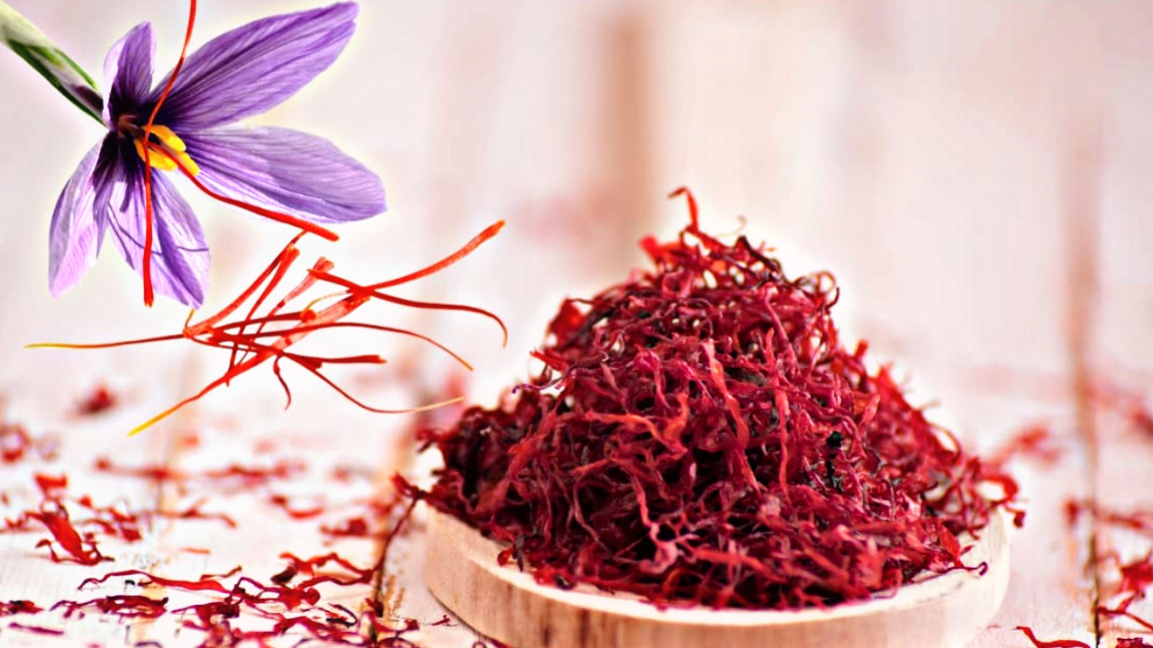 287691EC 1226 4FD9 BCA3 42C311D3345F