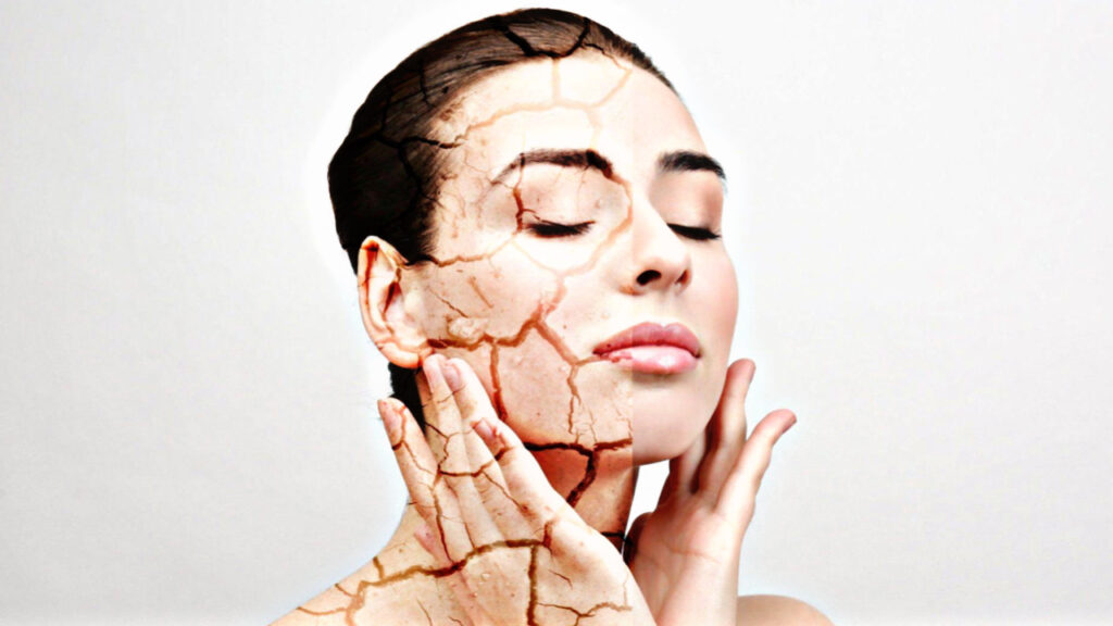 3421C644 F5C3 42A1 9B9B 6049E2E36D0A