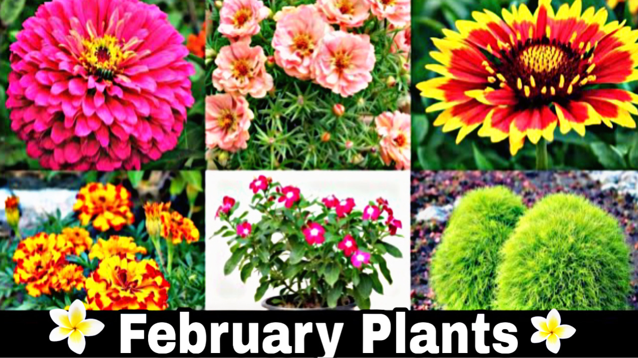 358CAF62 2CE3 4AD7 9AA2 6F45353E7429