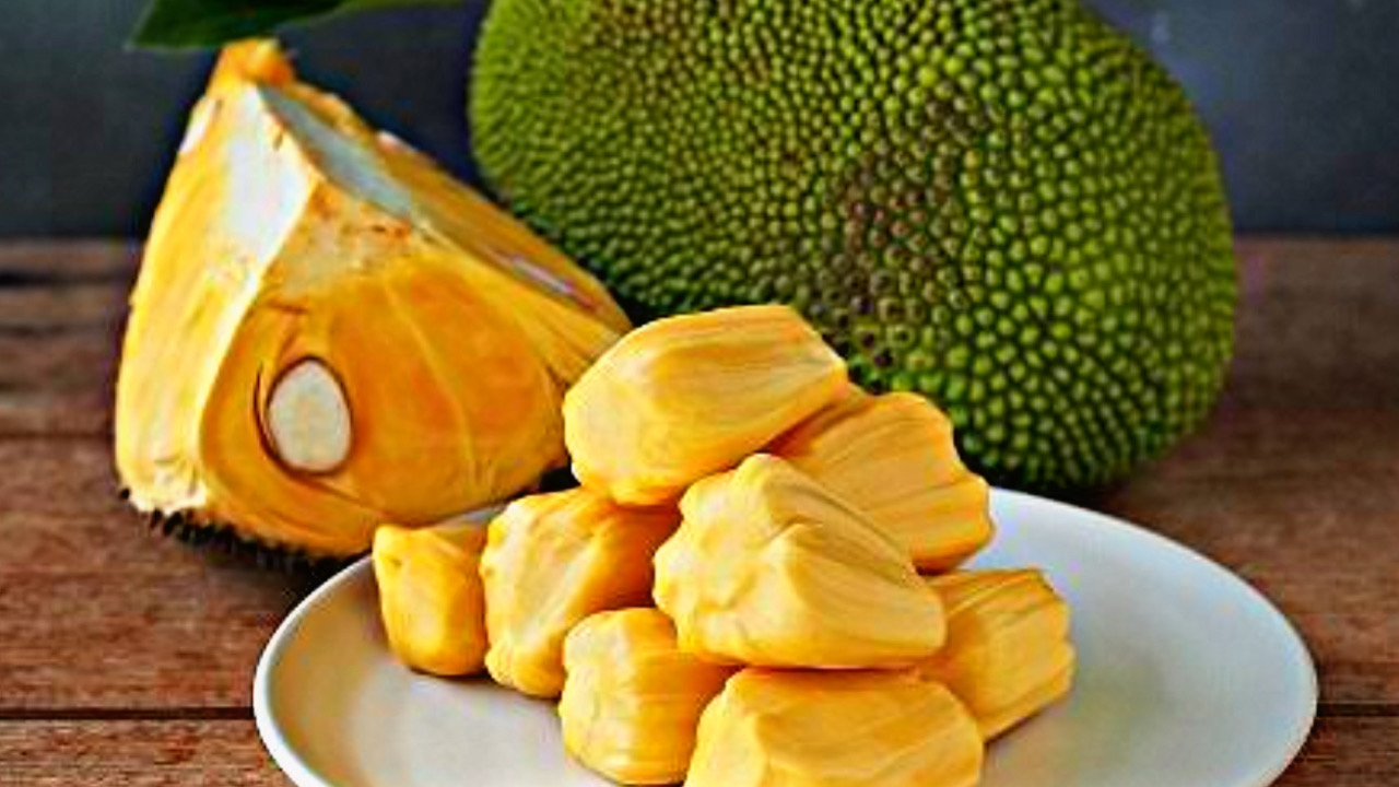 3D9626E7 480E 4E78 A121 AF932F84C22F