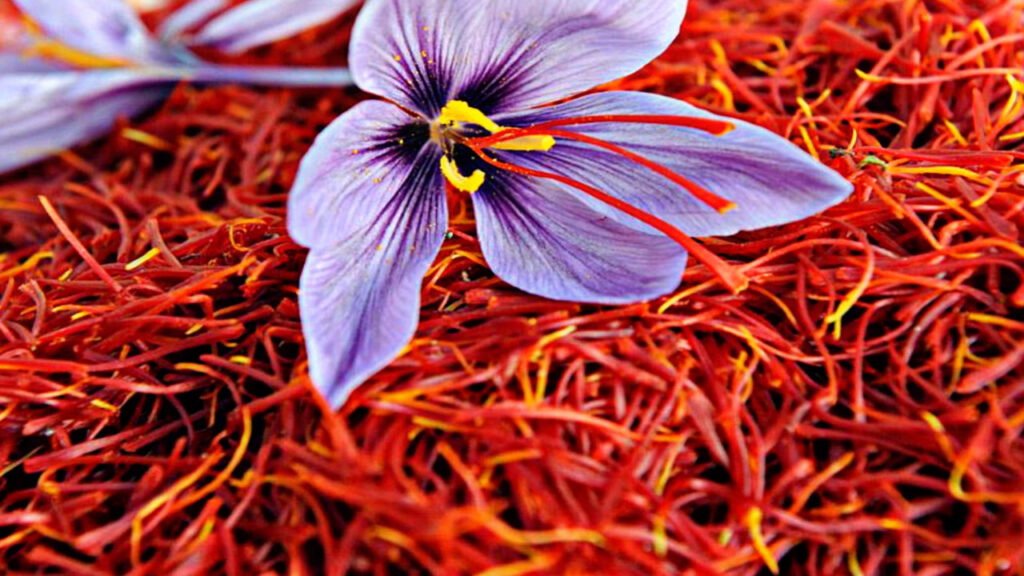 649BAF8A 74DD 47A8 9140 E0A848B40182 649BAF8A 74DD 47A8 9140 E0A848B40182