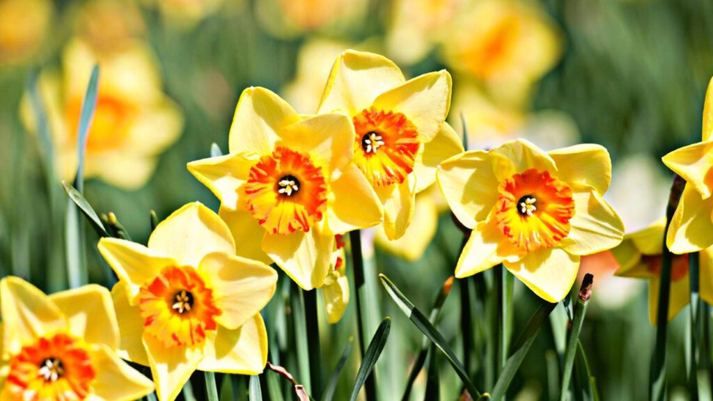 684E013C 552C 4F29 A3CF CAF2541E1FC6