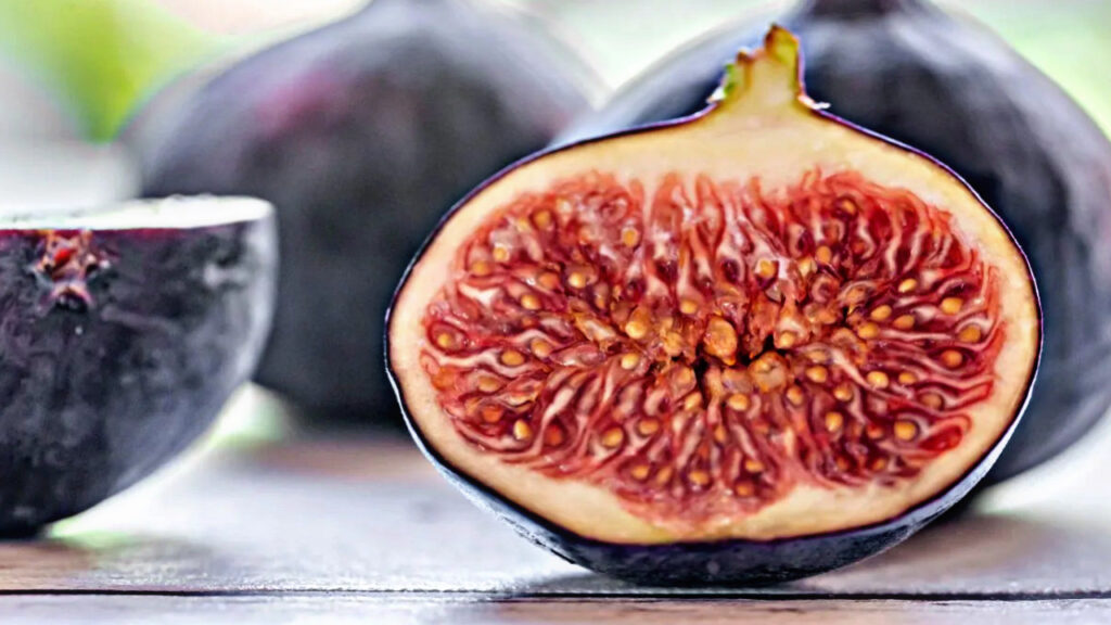 7492E0EE 8745 4BC1 BA1F 983B864EA260