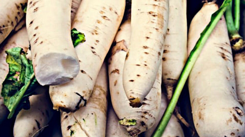 806D4C6B 2D93 49DC A3DA 860EDF071198