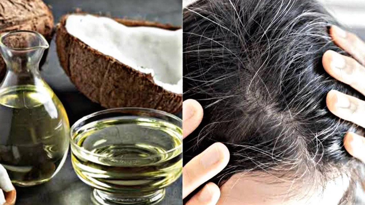 83E6EC9F 944D 4F6B 9CB9 0B3B980F36A7