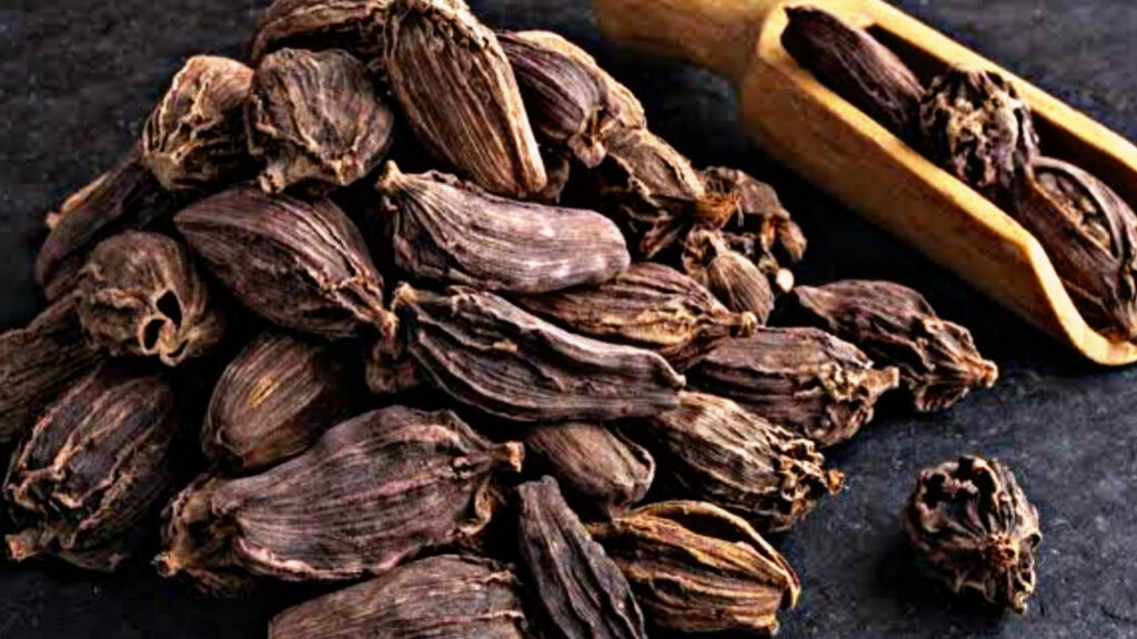 A54D6093 A18A 499D A25F 4D817C466701