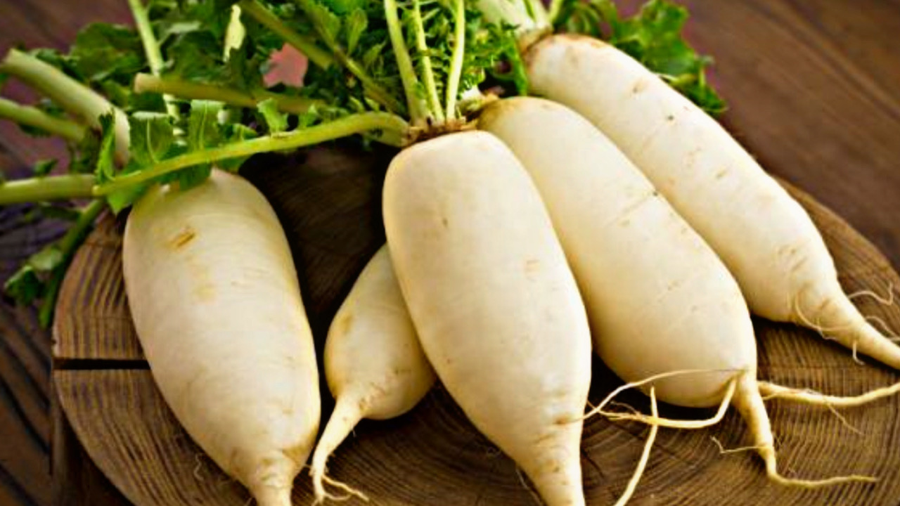 B584B859 8D5A 49B4 81B2 8D77B2BA2134