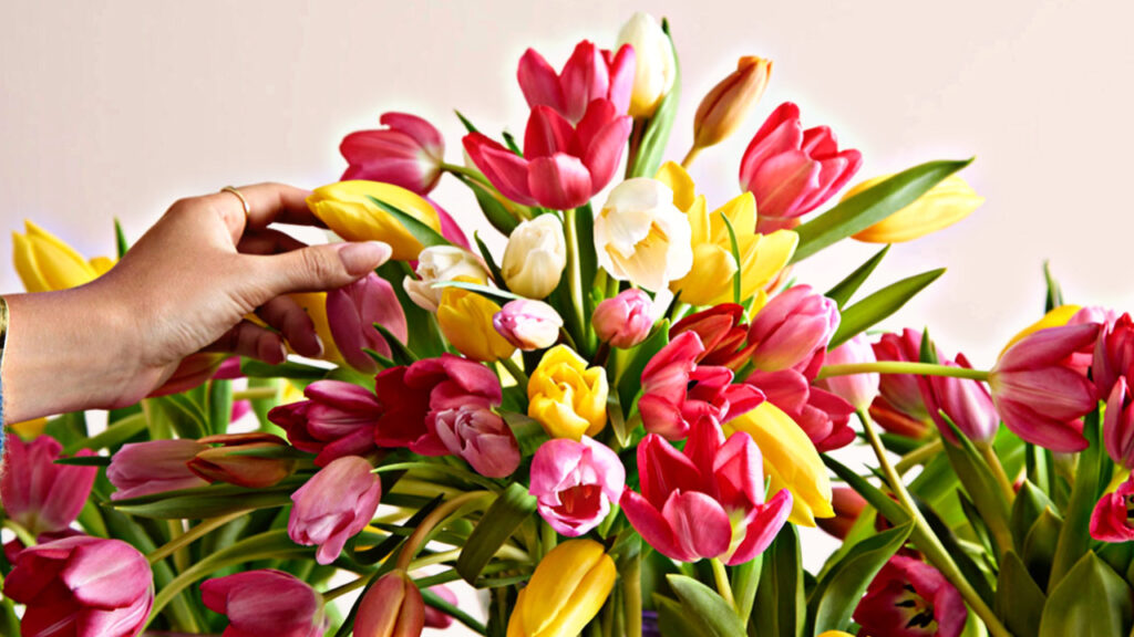 B745B85B DFE0 4097 85C6 C1C93CB9D98A