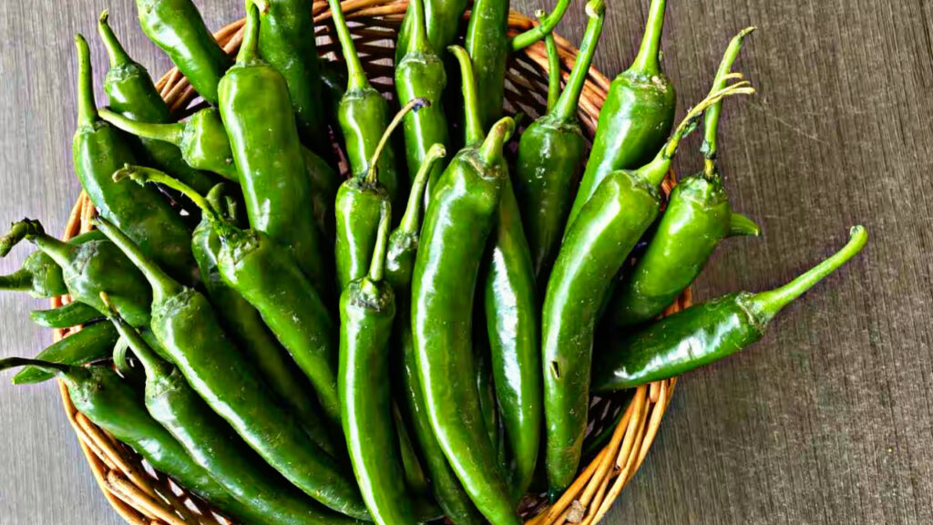 C70B15ED 81F9 453E 9FCF 48A2F73CDB1A