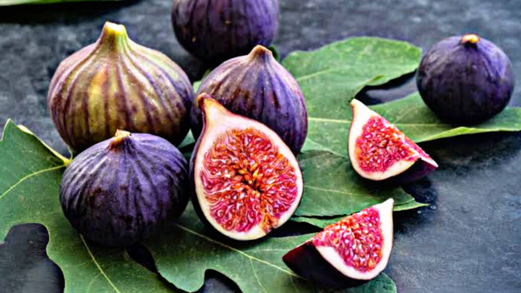 D098E126 54DD 4830 AD20 66621BA13D73