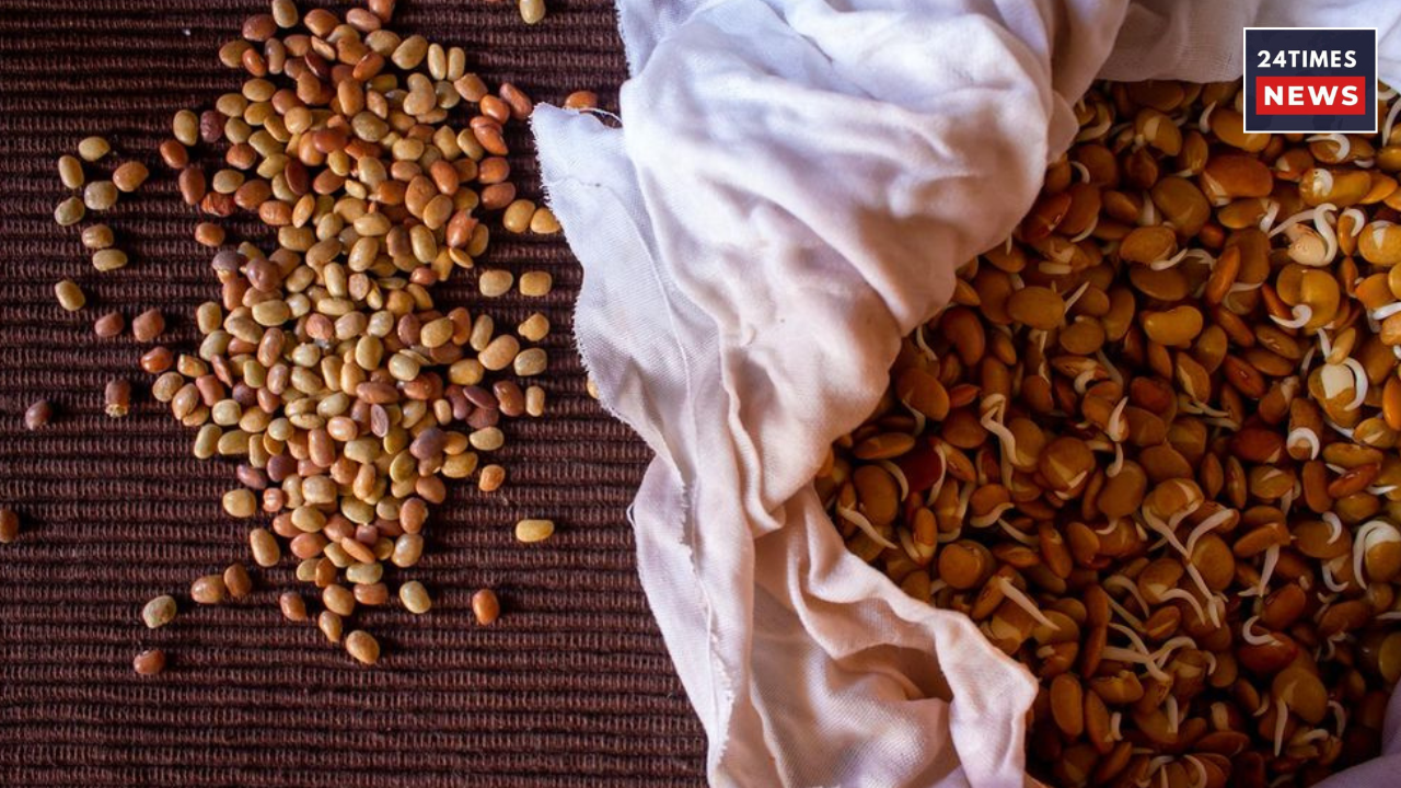 Untitled design 2026 01 09T154741.823