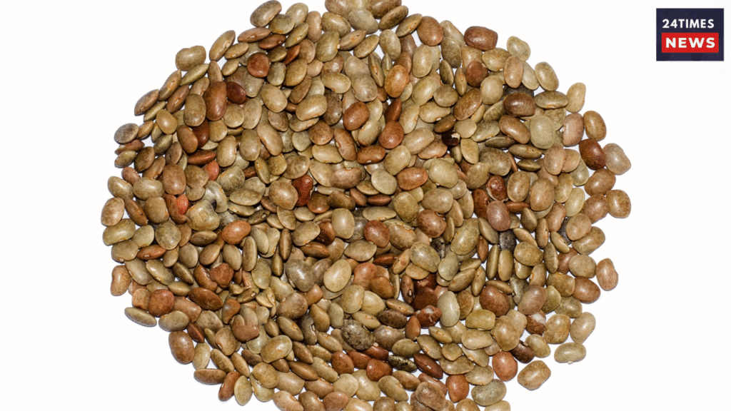 Untitled design 2026 01 09T154836.617