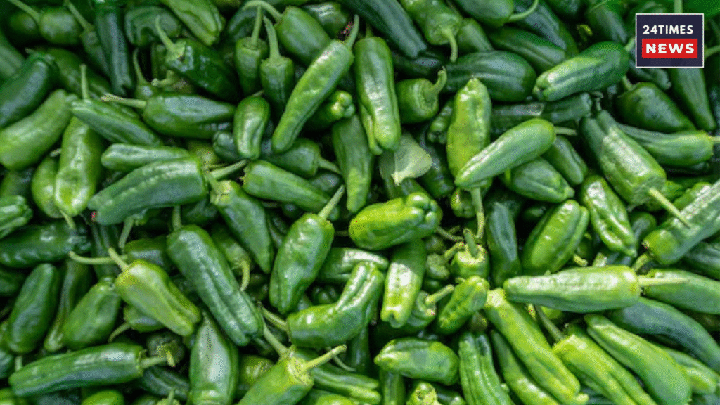 Untitled design 2026 01 13T134743.596