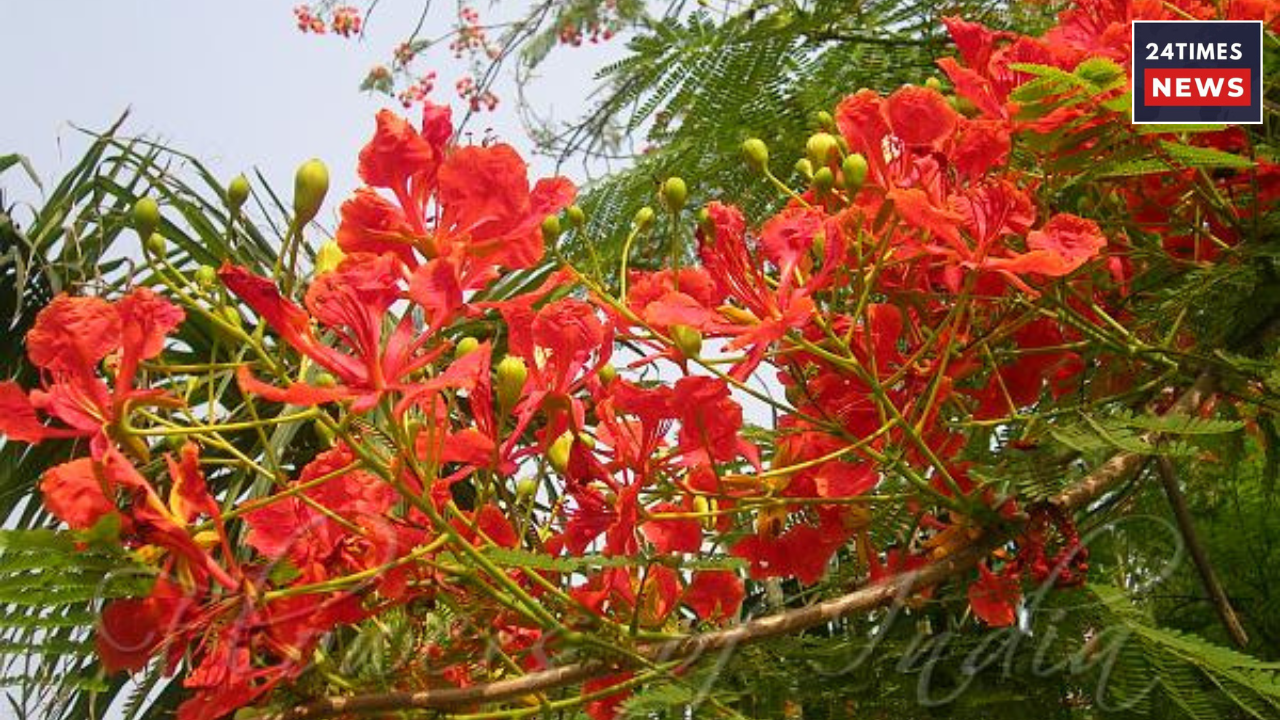 Untitled design 2026 01 17T093240.286