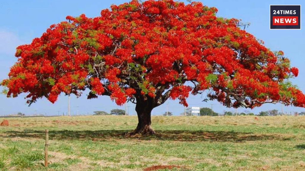 Untitled design 2026 01 17T093402.440