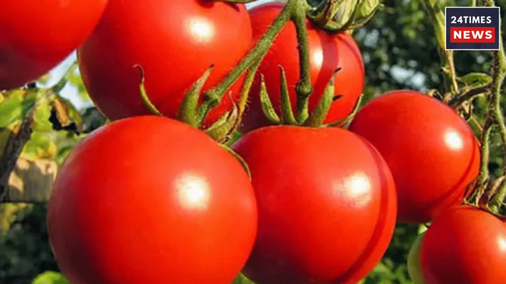 Untitled design 2026 01 24T095159.764