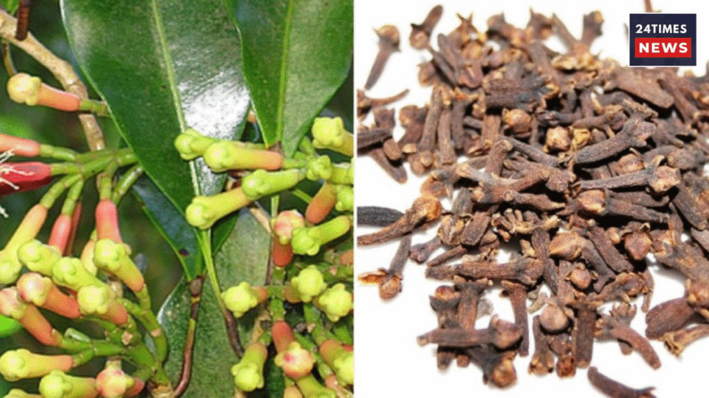 Untitled design 2026 01 26T104012.061