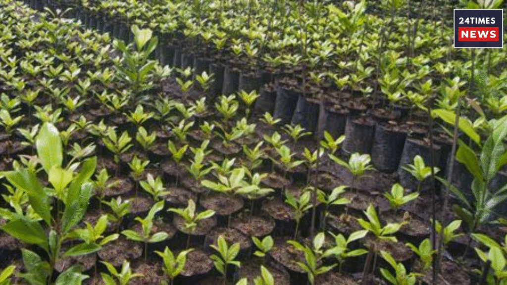 Untitled design 2026 01 26T104108.553