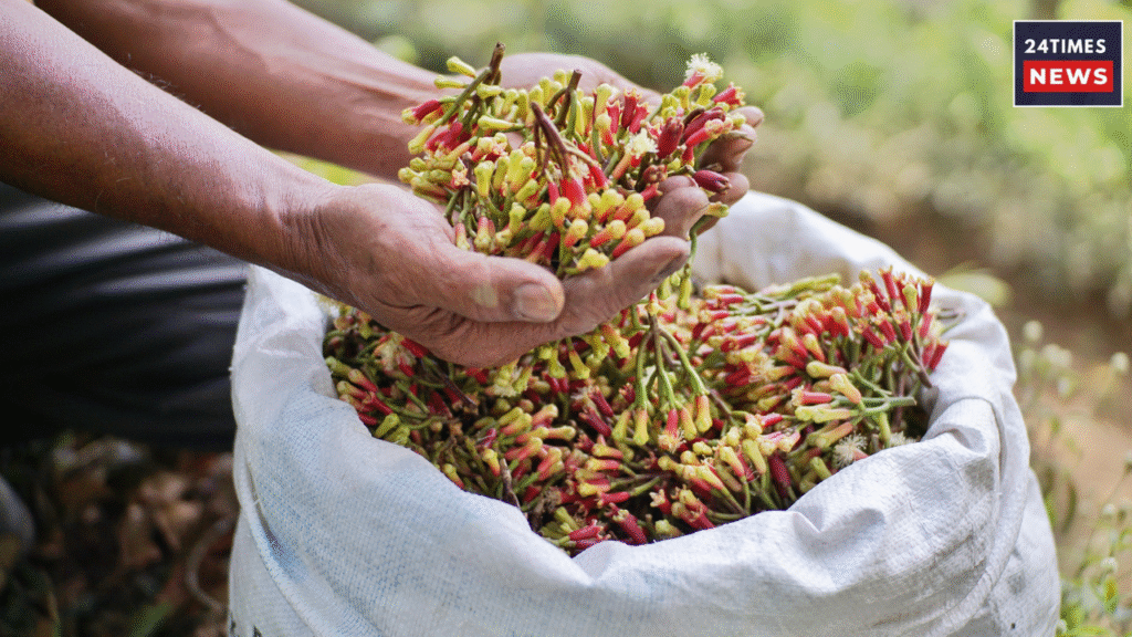 Untitled design 2026 01 26T104130.732