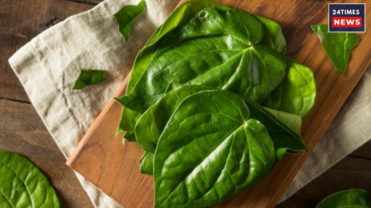 Untitled design 2026 01 27T095843.519