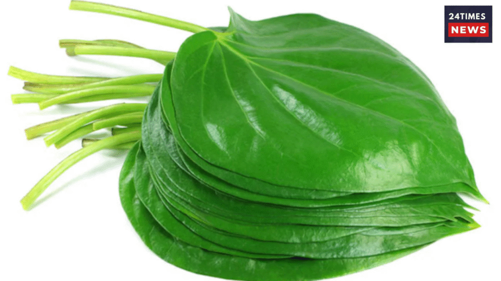 Untitled design 2026 01 27T095913.399 Paan