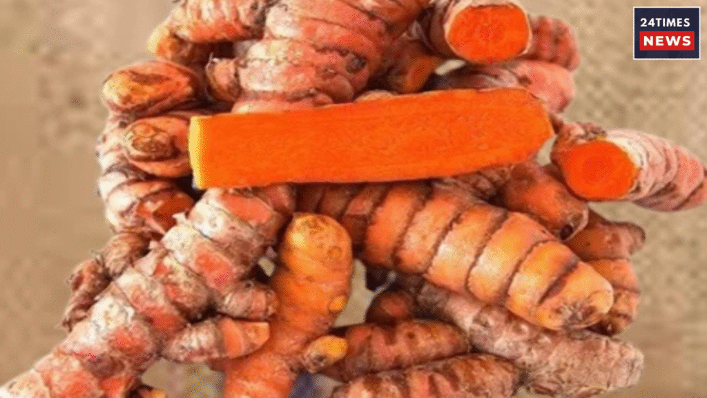 Untitled design 2026 02 01T105355.622 Untitled design 2026 02 01T105355.622