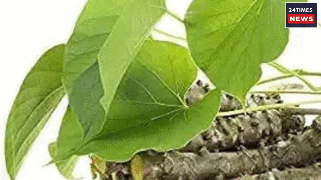 Add a heading 25 Add a heading 25