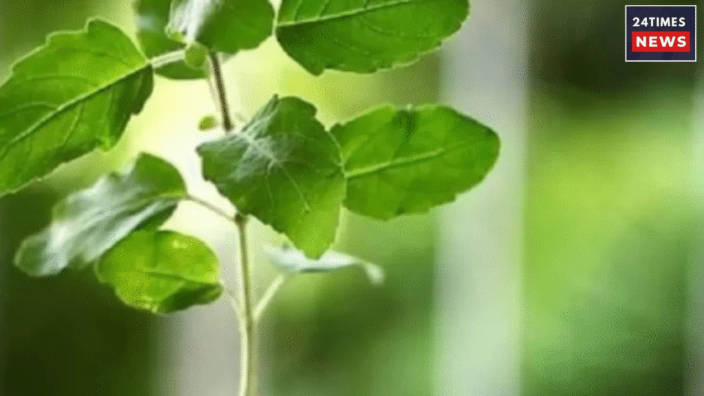 Add a heading 27 Health Tips