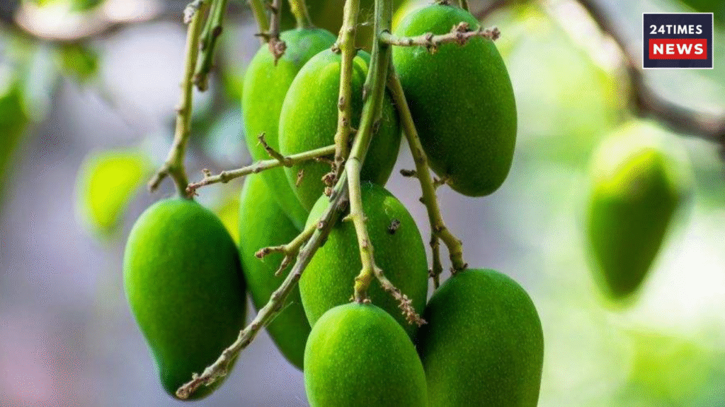 Untitled design 2026 03 14T084405.021