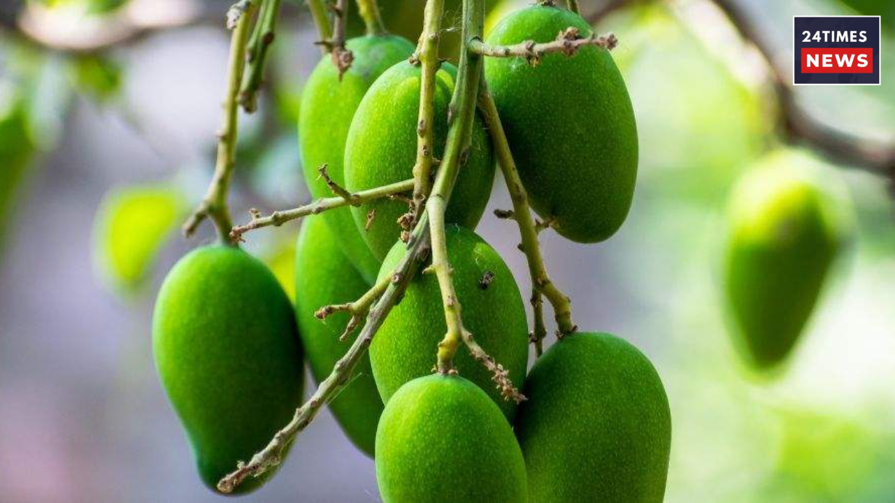 Untitled design 2026 03 14T084405.021