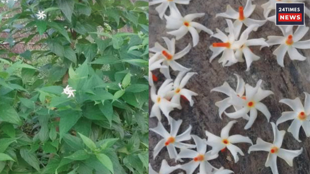 Untitled design 2026 03 27T120230.155