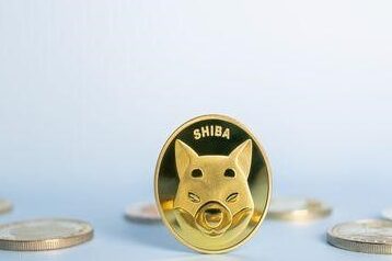 shiiiba inu edited shib - shiba inu