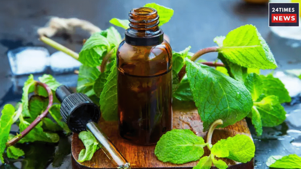 Mint Benefits