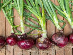 The onion in your kitchen have many magical benefits, know the details