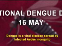 National Dengue Day