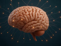 brain health