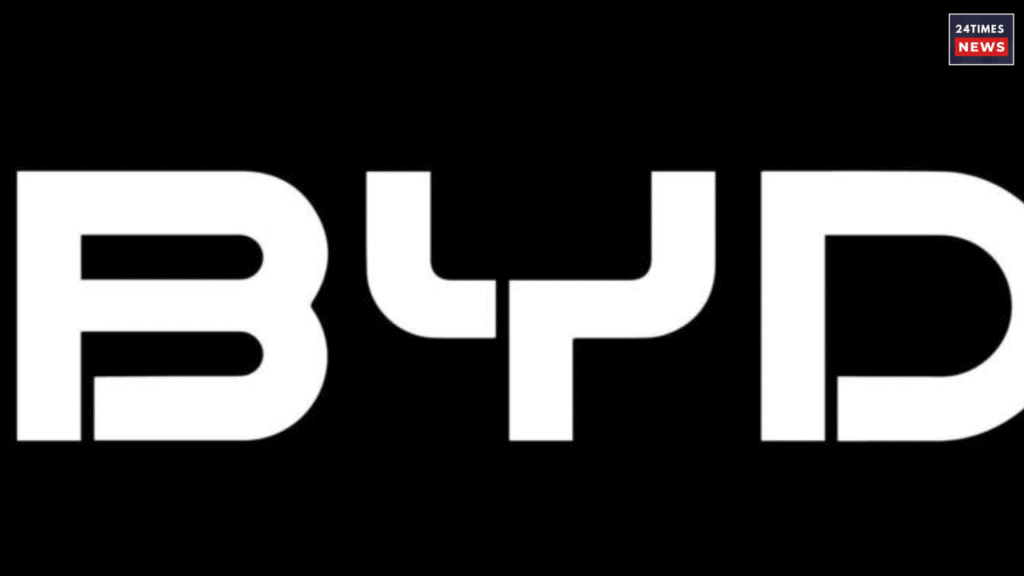 byd dm I