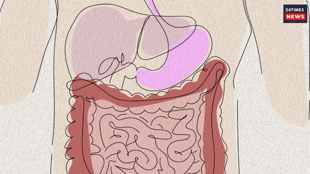 Liver Health: Effective Drinks for everyday to reduce the obesity, fatty liver and other problems