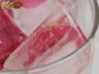 rose water 1