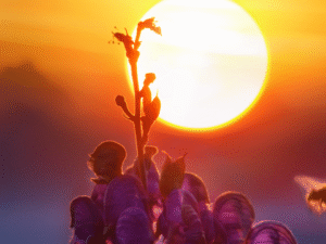 Sun Nakshatra Change 2026: These 4 Zodiac Signs May Gain Big Financial Benefits After Sun’s Transit