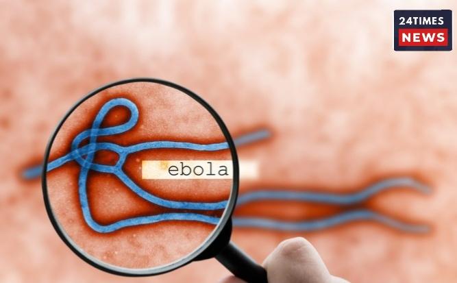 Ebola Webinar: 7 Key Lessons on Zoonotic Diseases, Outbreak Preparedness, and Global Health Challenges.