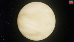 Early July Venus Transit in Leo May Bring Money and Good Fortune to 4 Zodiac Signs