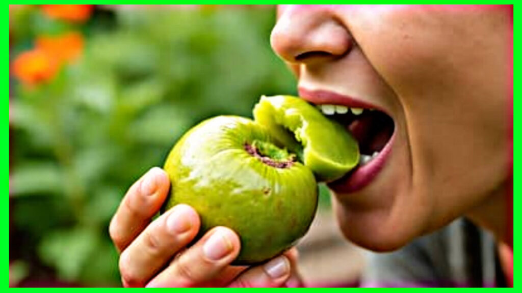 2D208C29 D529 439F AB7A 48D314BCF6B5 Health: Discover the countless benefits of Amla and stay healthy and fit
