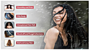 Hair Growth Tips: If your hair is falling out during the monsoon, skip the expensive shampoos & try these tips instead