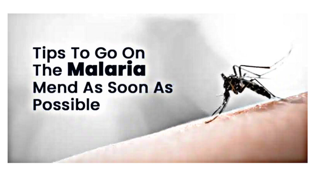 Learn effective ways to help a malaria patient recover.